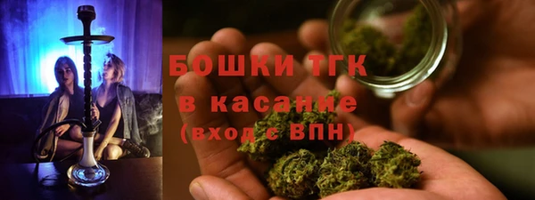 PSILOCYBIN Абаза