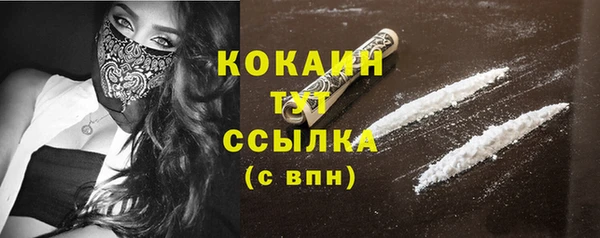 PSILOCYBIN Абаза