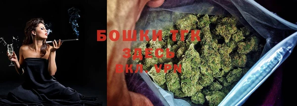 PSILOCYBIN Абаза